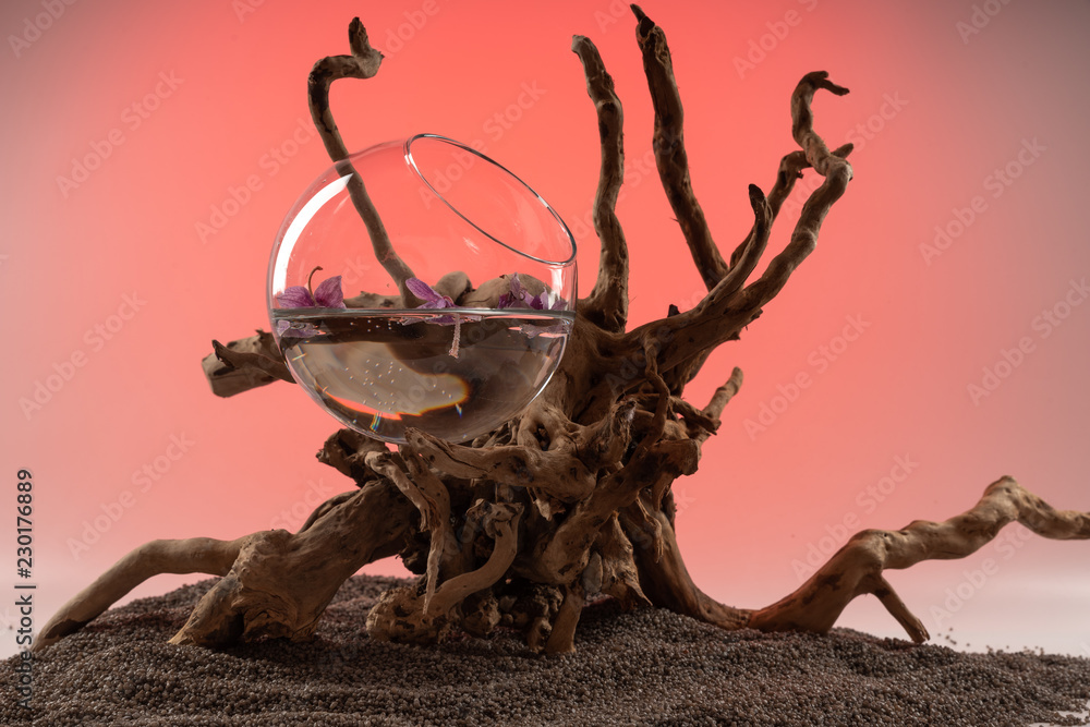 Fototapeta premium Composition of fallen Orchid leaves in a vase with water and a wooden snag.