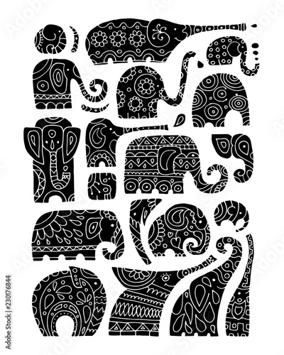 Ornate elephant collection, sketch for your design
