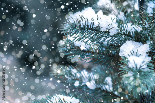 Closeup of Christmas tree with light, snow flake. Christmas and New Year holiday background. vintage color tone.