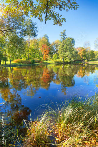 The bright autumn wood is reflected in the lake