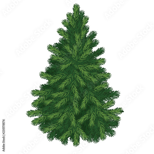 Christmas tree isolated on white background. Sketch for greeting card, festive poster or party invitations.The attributes of Christmas and New year. Vector illustration.