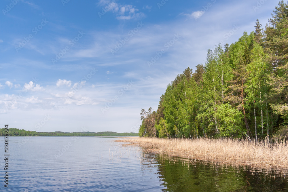 Lake shore in Karelia in summer Lake shore in Karelia in summer
