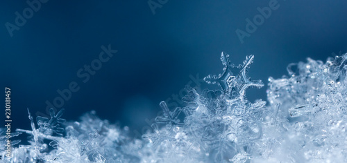 snowflake in the snow, winter
