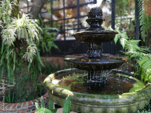 Classic vintage fountain in shady garden.