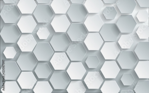 Abstract white hexagon background. vector design