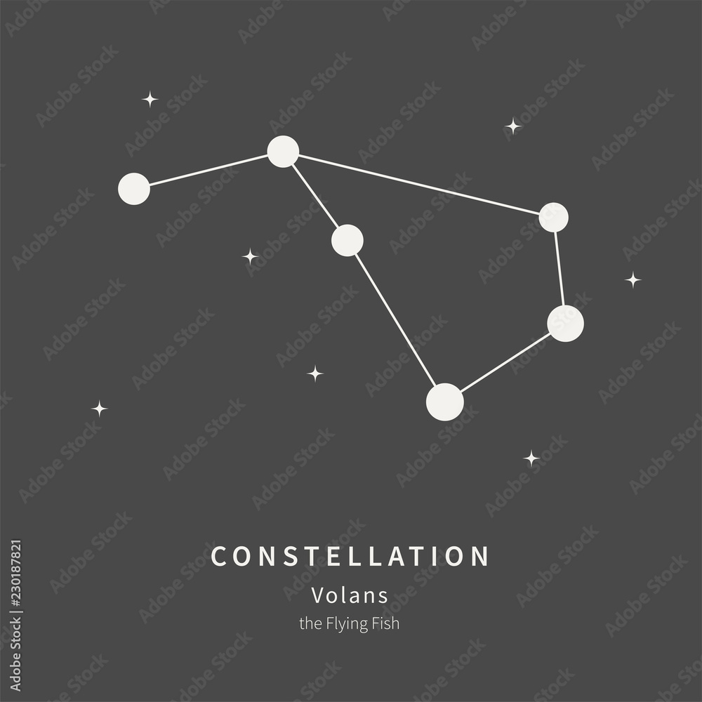 Volans Flying Fish Volans Constellation