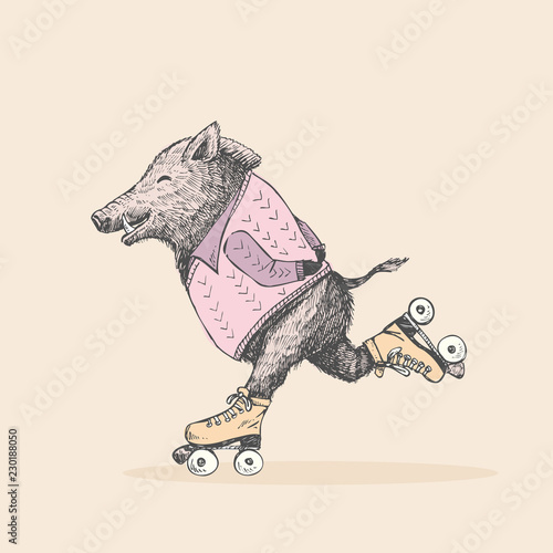 Hand drawn cute wild boar on roller skates, vector illustration. T shirts and Card design.