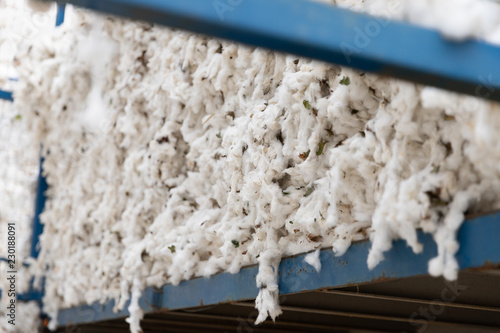 Greek seed cotton in a tractor trolley getting unloaded in the ginning mill