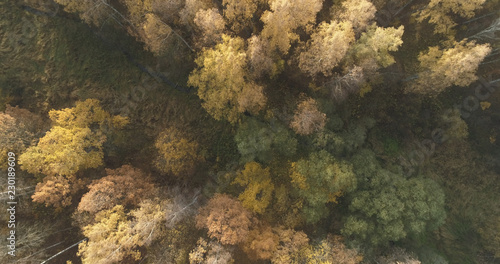 Aerial top view over stream in autumn forest in the morning © GCapture