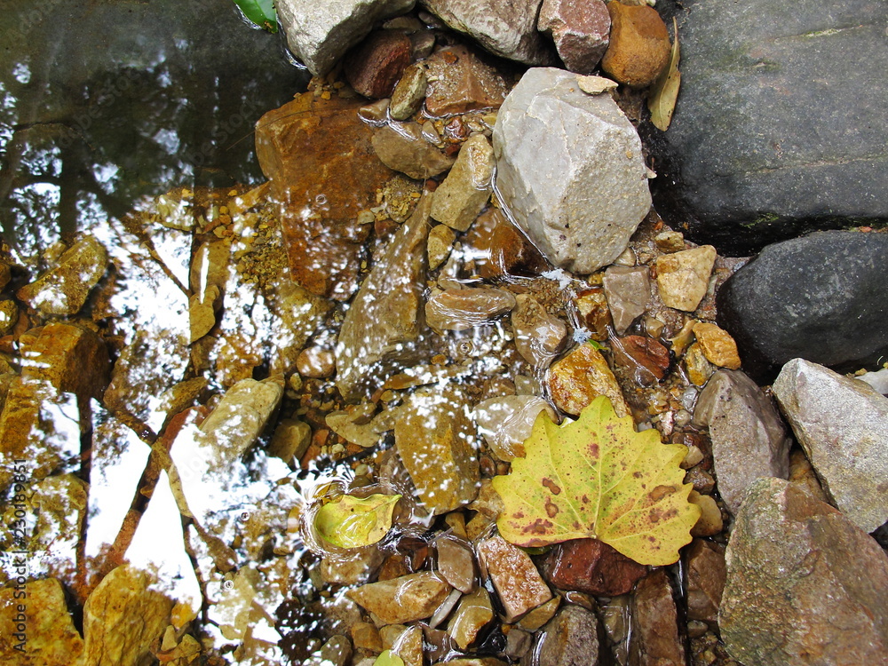 Obraz premium Nature background with water reflection, rocks and fallen leaves