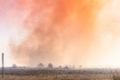 A large fire in the cane fields in the nature reserve © blanke1973