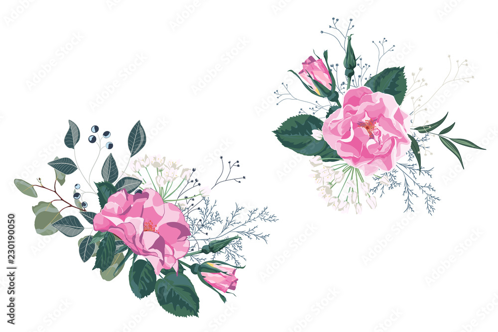Wild rose, rosa canina dog rose garden flowers, berries, greenery and herbs  set. White background for save the dates. Stock Illustration | Adobe Stock