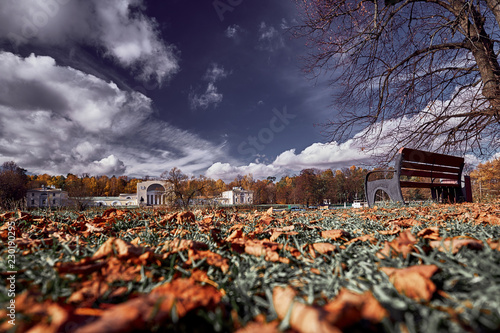 Autumn park landscape. Lonely bench in the autumn park among the trees and dry leaves in the estate Vlachernae Kuzminki in the Natural-Historical Park Kuzminki photo