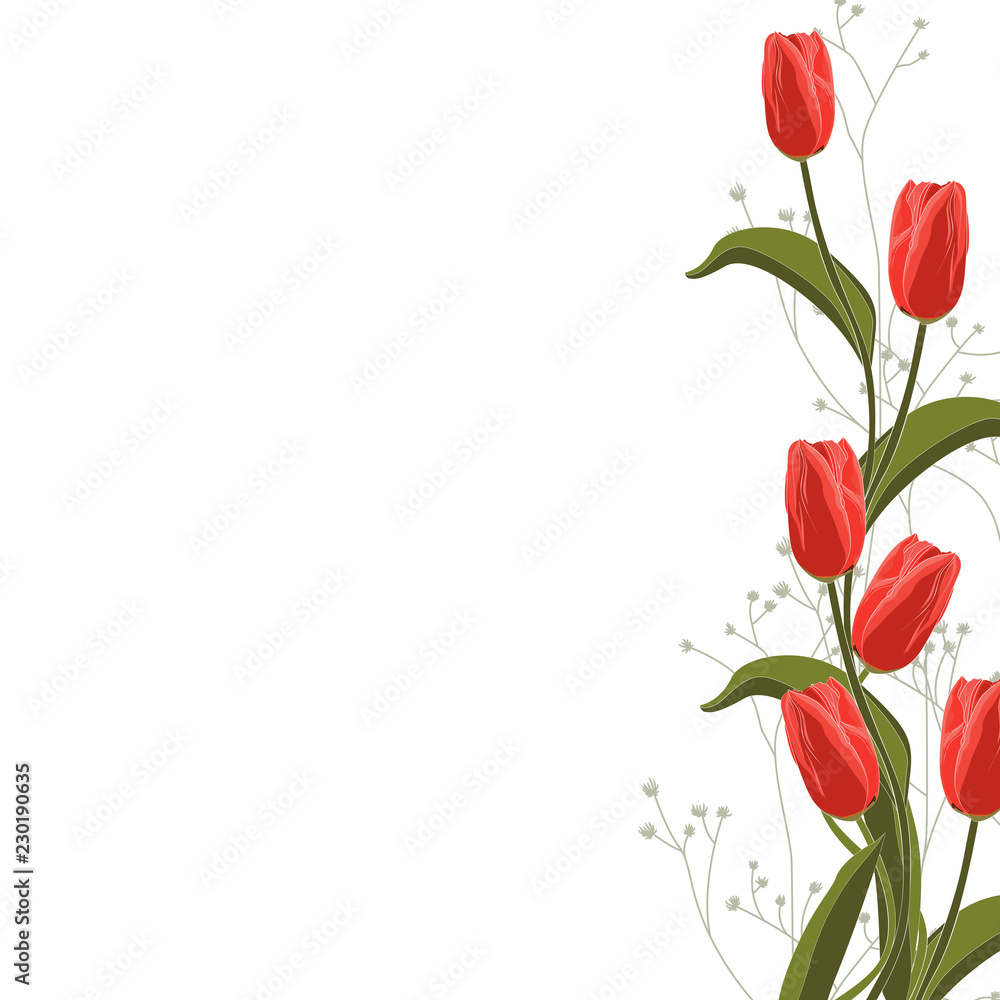 Red tulip and herbs elegant card. A spring decorative bouquet. Small floral garland.