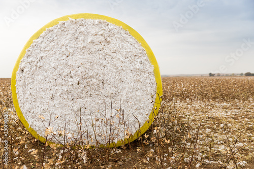 Round cotton bale in a field in Greece