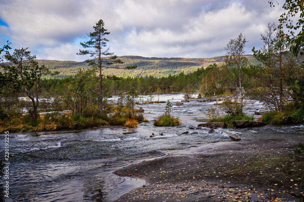 A wild river floating through rocks an trees. In the wonderfull landscape of Norway there are no people. A wild river floating through rocks an trees. In the wonderfull landscape of Norway there are no people.