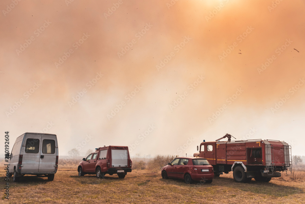 A large fire in the cane fields in the nature reserve