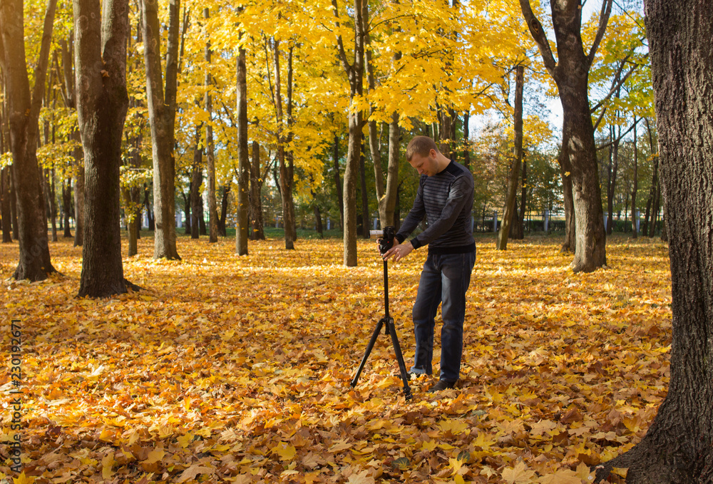 a man videographer takes video of an autumn yellow park and also takes pictures, photographer a man videographer takes video of an autumn yellow park and also takes pictures, photographer