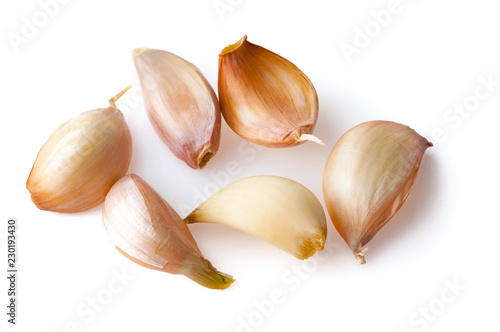 Garlic on white background