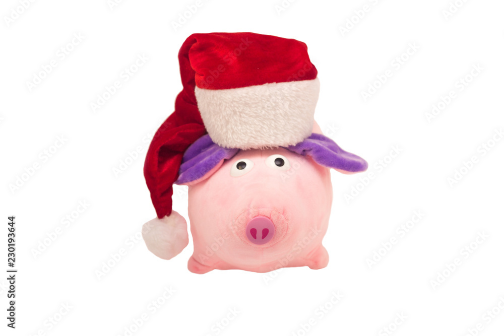 Soft toy New Year's pig in a red Santa Claus hat on a white background, isolate, close-up, New Year of the Pig 2019, Christmas, concept Soft toy New Year's pig in a red Santa Claus hat on a white background, isolate, close-up, New Year of the Pig 2019, Christmas, concept