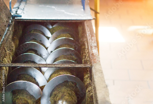 Foto Production of rapeseed oil, processing of oilseed rapeseed, supply of rapeseed o
