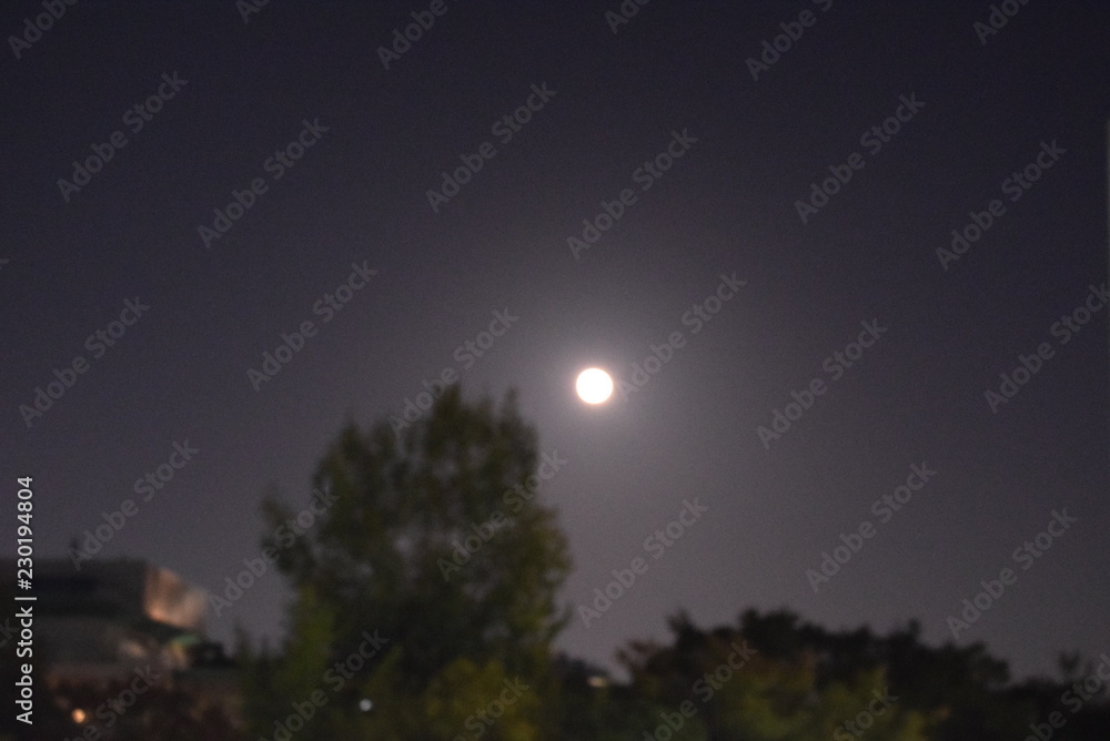 Obraz premium 神戸