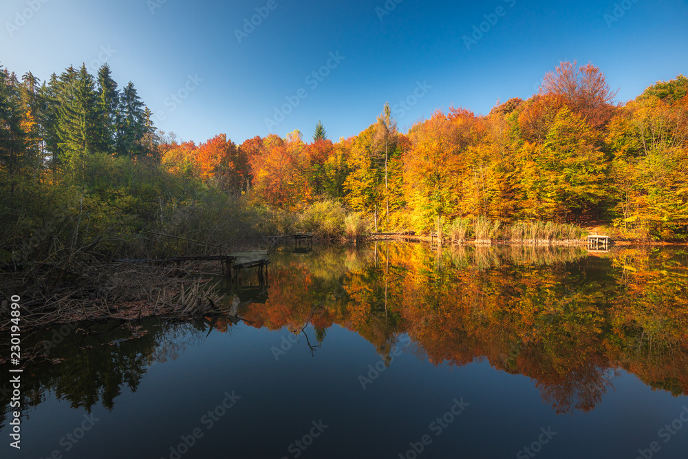 Autumn in the forest. Fall scene with forest lake in Bakony Forest and Mountain, Pisztrangos Lake, Hungary Autumn in the forest. Fall scene with forest lake in Bakony Forest and Mountain, Pisztrangos Lake, Hungary