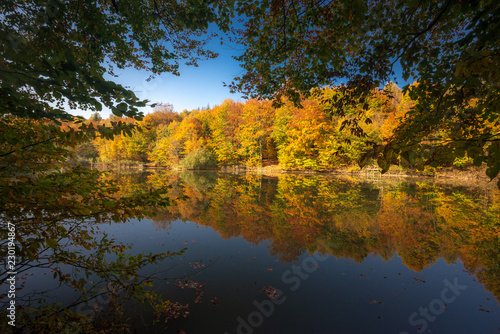 Autumn in the forest. Fall scene with forest lake in Bakony Forest and Mountain, Pisztrangos Lake, Hungary