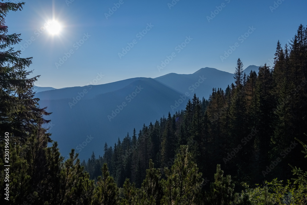 misty sunrise in Slovakian Tatra mountains with light lanes in fog over dark forest