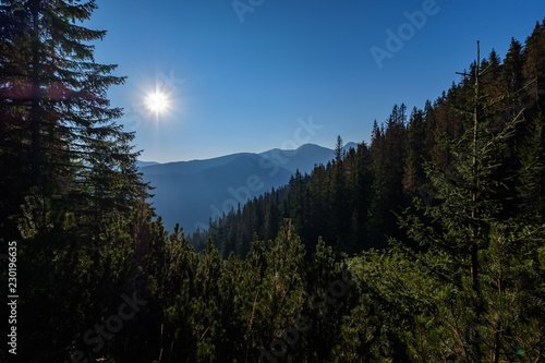 misty sunrise in Slovakian Tatra mountains with light lanes in fog over dark forest