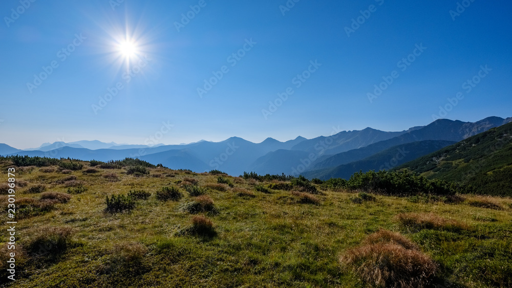 misty sunrise in Slovakian Tatra mountains with light lanes in fog over dark forest misty sunrise in Slovakian Tatra mountains with light lanes in fog over dark forest