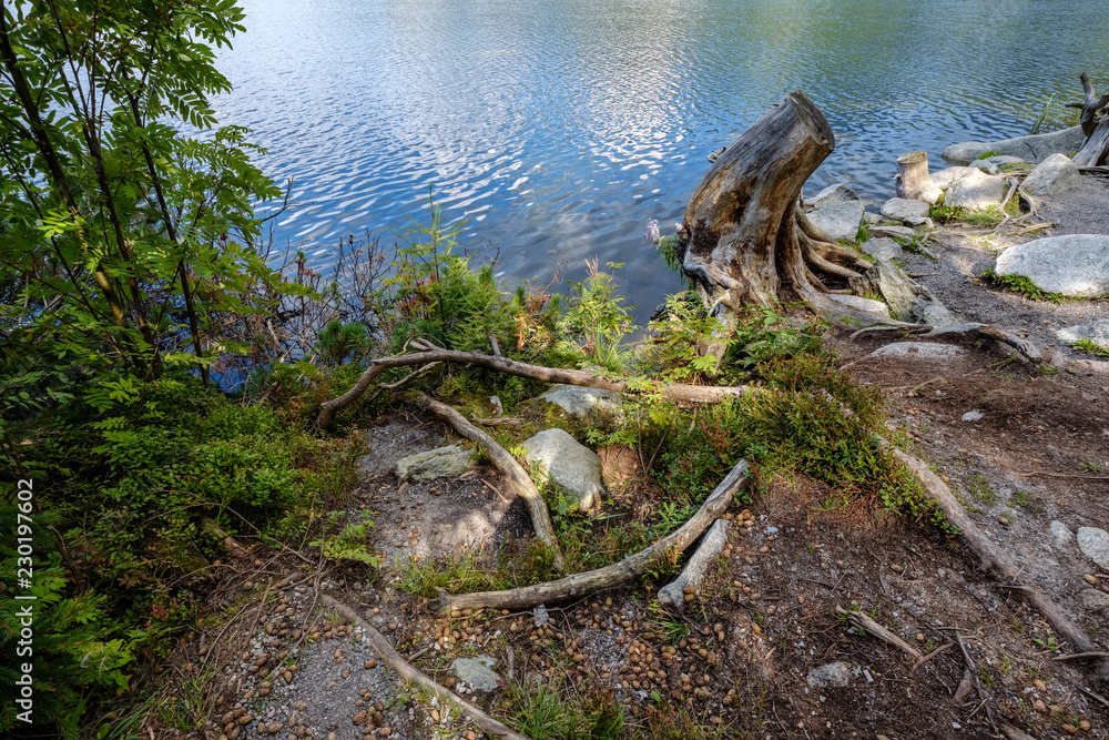 autumn nature reflection in lake of Strbske Pleso in Slovakia