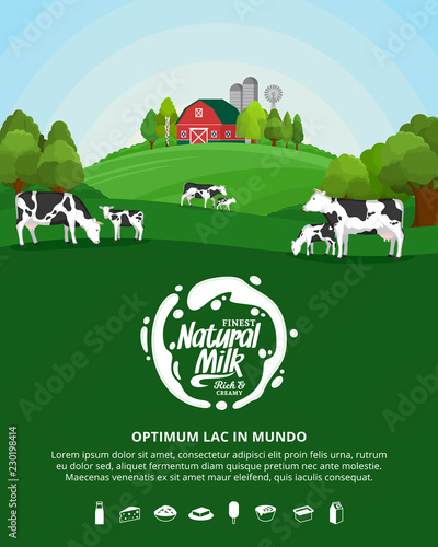 Vector milk illustration with milk splash, farm, cows and calves