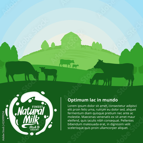 Vector milk illustration with cows, calves and farm