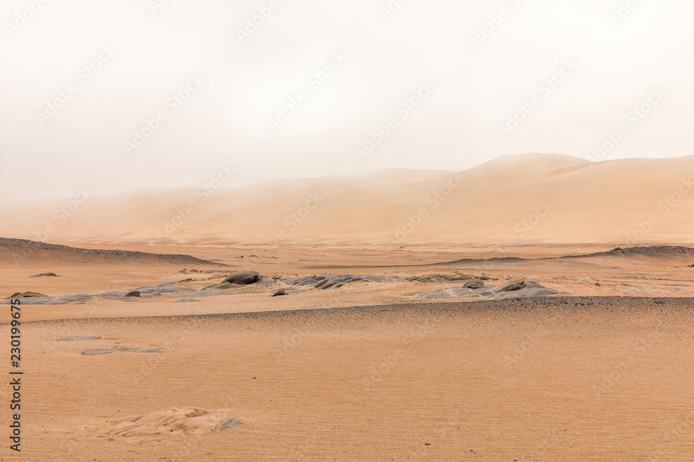A beautiful, desolate scene at Skeleton Coast, Namibia. A beautiful, desolate scene at Skeleton Coast, Namibia.