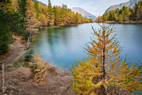 Slika na platnu Herbstzauber am Palpuognasee, Lai da Palpuogna, Bergsee am Albulapass, goldfarbe