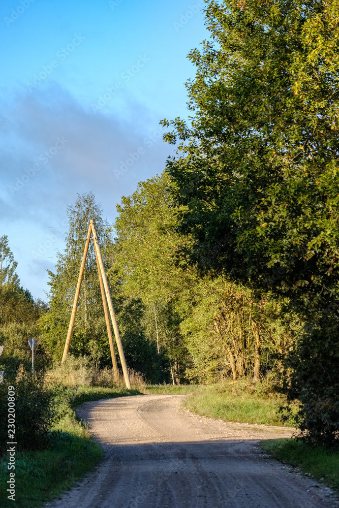 Fototapeta premium power line electricity poles in country