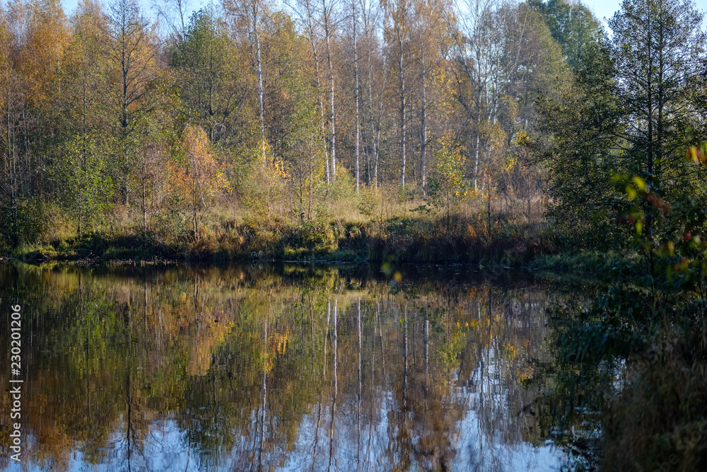 nature reflections in clear water in lake or river at countryside