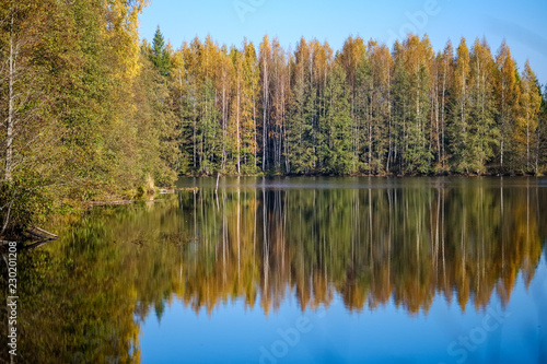 nature reflections in clear water in lake or river at countryside