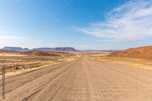 Endless roads in a breathtaking landscape  Skeleton Coast Park  Namibia.