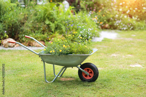 Foto wheelbarrow with green grass in garden