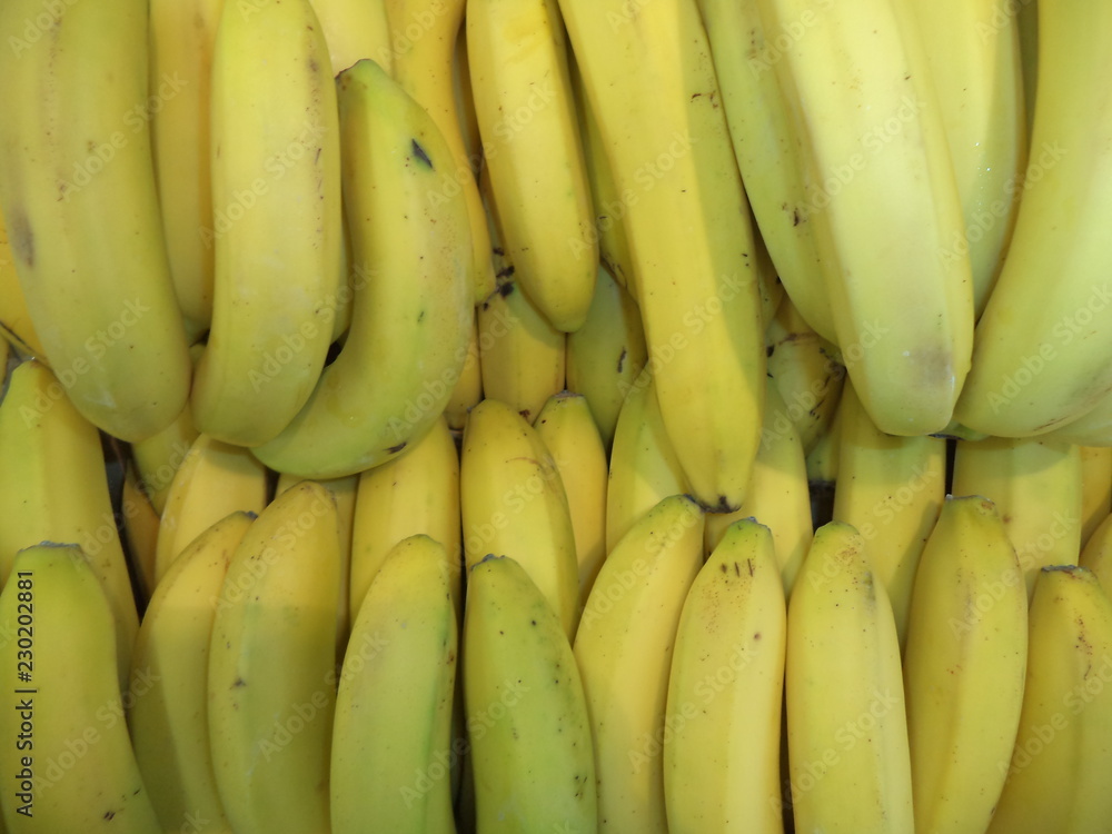bunch of fresh ripe bananas