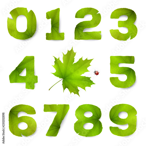 Set of vector numbers made from green leaves, isolated on white background