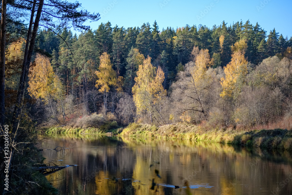 nature reflections in clear water in lake or river at countryside