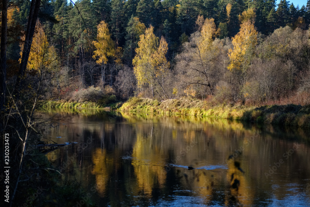 nature reflections in clear water in lake or river at countryside