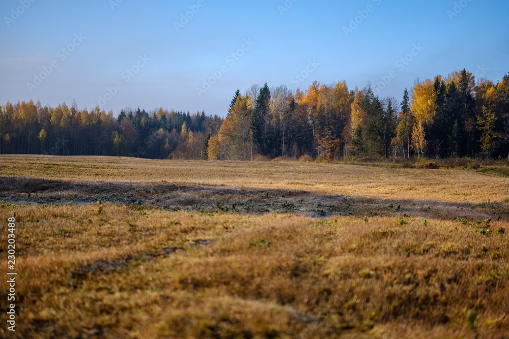 empty freshly cultivated agro field in late autumn in bright daylight empty freshly cultivated agro field in late autumn in bright daylight