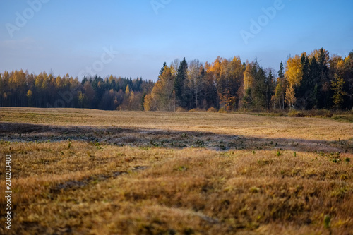 empty freshly cultivated agro field in late autumn in bright daylight