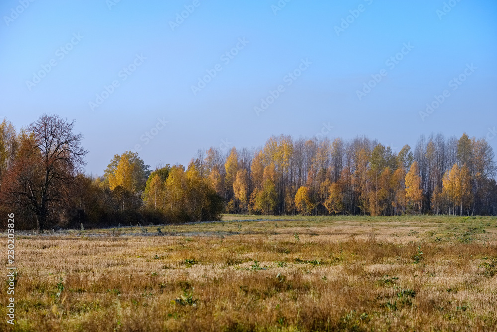 empty field in late autumn