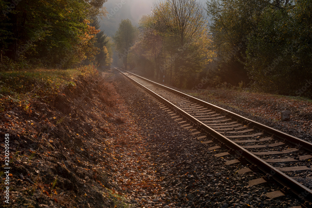Fototapeta premium straight long rails leading between colorful trees at sunset in autumn