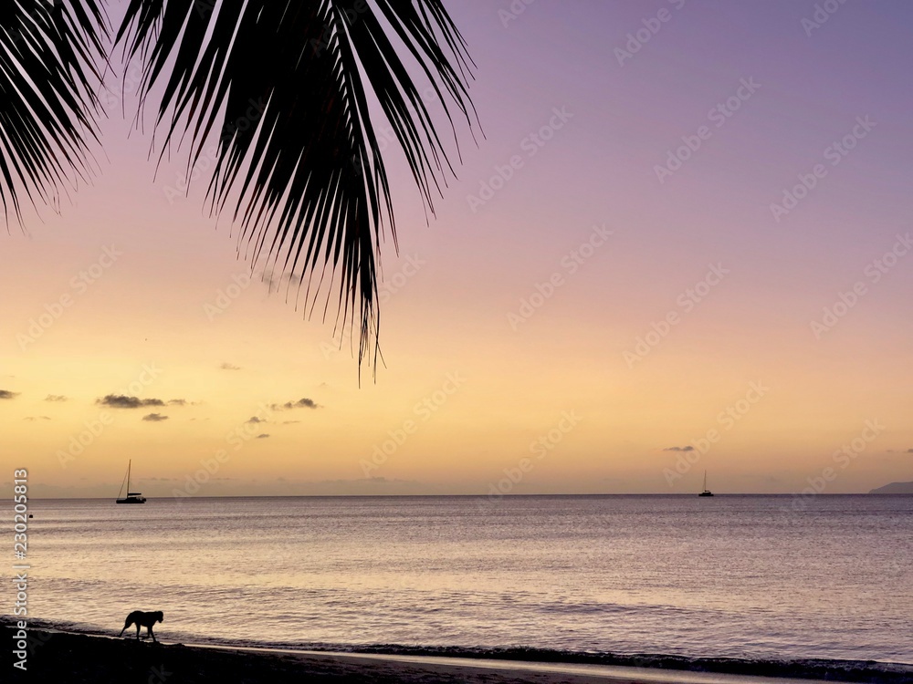 Sunset Seychelles